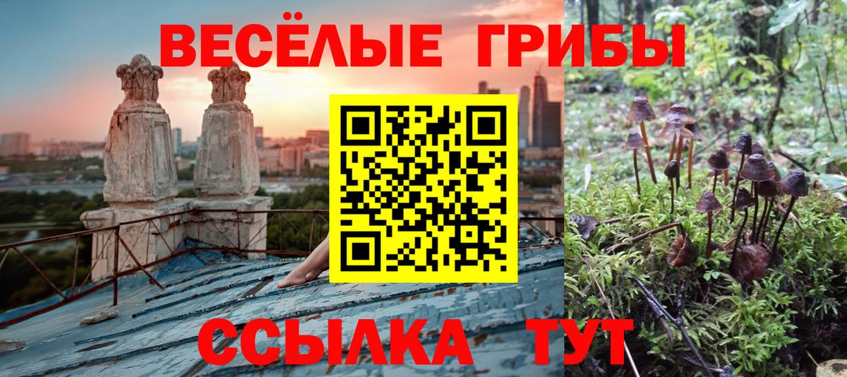 Кировск  Галлюциногенные грибы ЛСД  Псилоцибиновые грибы Psilocybe  Вход с VPN 
